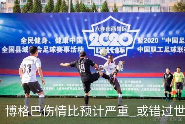 博格巴伤情比预计严重 或错过世界杯到明年才复出
